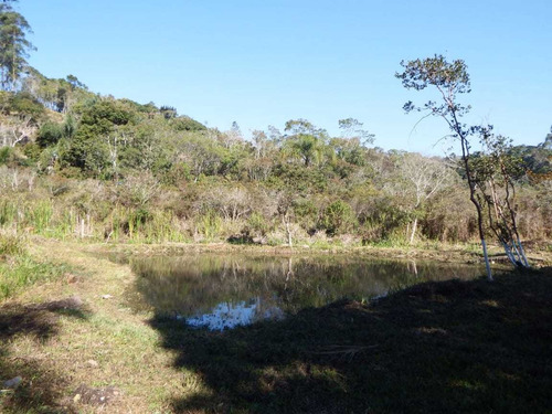 Imagem 6 de 11 de Chácara À Venda Com Lago Topografia Plaina 2.000 M²