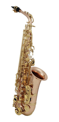 Saxofón Alto Bronce Con Tonalidad Eb Roy Benson As-202g
