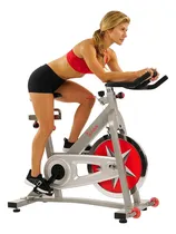 Comprar Bicicleta De Ciclismo De Interior Volante De 40 Lb Y Re...
