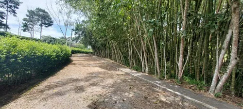 Lote De 1250m2