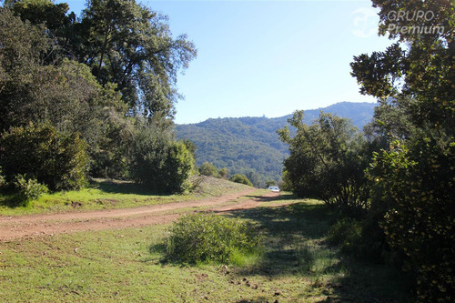 Excelente Parcela En Venta En Quilpué