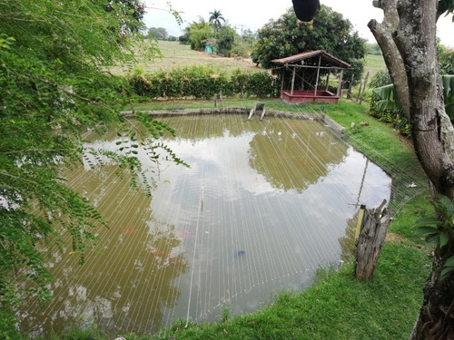 Se Vende-casa Campestre En Ginebra Valle