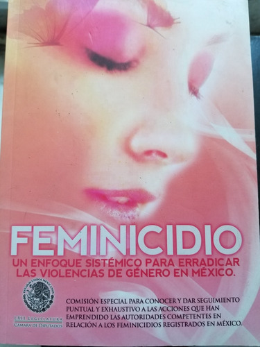 A0 Feminicidio Un Enfoque Sistémico, Camara De Diputados (Usado)