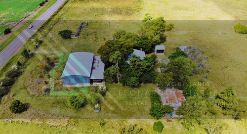 Campo Agrícola-ganadero, 137 Há En Colonia | Sobre Ruta 21