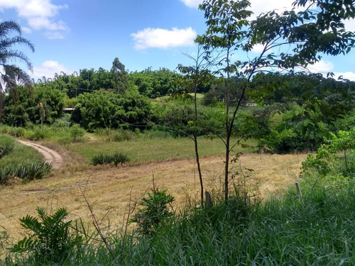 Imagem 3 de 6 de Área Rural - Sítio - 1131