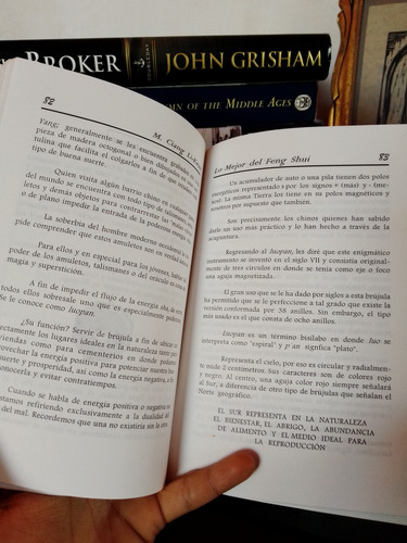 Los Mejor Del Feng Shui