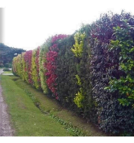 Imagen 15 de 30 de Alquiler Temp. Anual Campo Chico/golf/tennis/gym