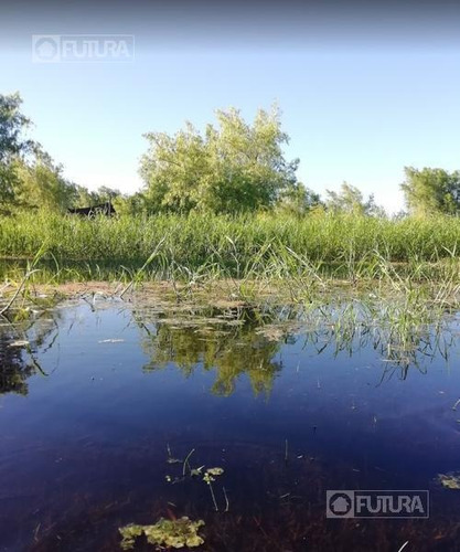 Imagen 5 de 5 de Terreno A La Venta En La Isla - Frente Sobre Río Paraná, Victoria, Entre Rios.