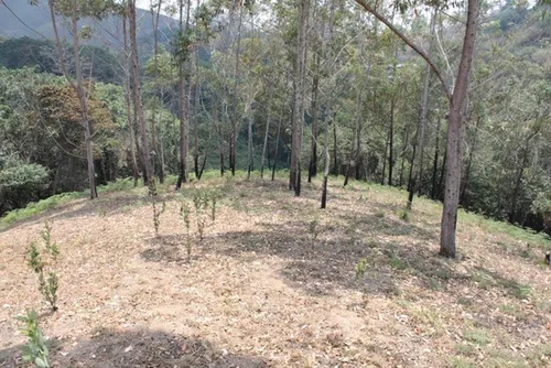 Vendo Terreno En Carrizal