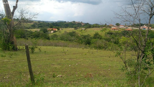 Chácara Para Venda Em Quadra, Recanto Da Castelo - 124_1-849704