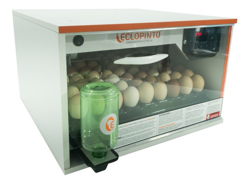 Chocadeira Eclopinto - 81 Ovos (viragem Angular)