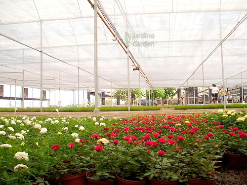Pantalla de sombra plateada para plantas de invernadero, 20%, 4 x 5 metros