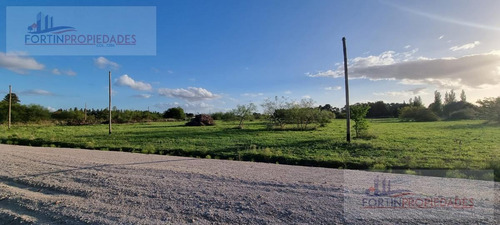 Imagen 4 de 4 de Terreno - Los Hornos