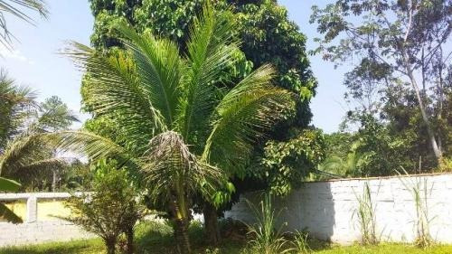 Chácara À Venda Com 4200 M² Terreno Em Itanhaém. 3868