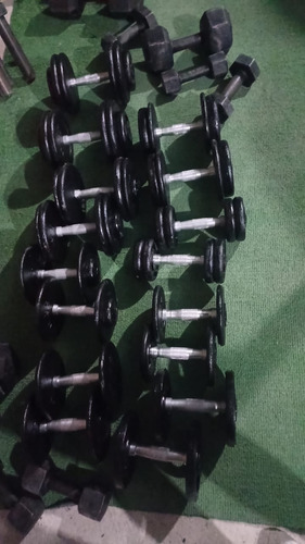 Par De Mancuernas Selladas De 15 Kilos Cada Una