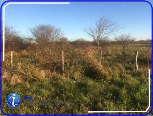 Imagen 2 de 6 de 349 Has En Gualeguaychu