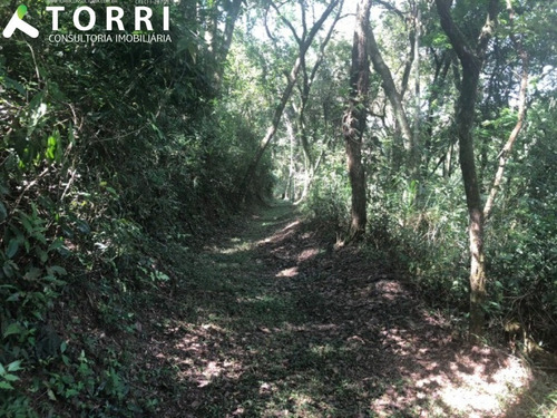 Imagem 17 de 17 de Chácara No Bairro Fazenda Genebra - Ch00275 - 68384383