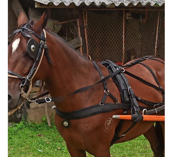 Almencla Corda de guia de cavalo de algodão trançado com corrente para  cabrestos de corrida de rédeas equestres de gado