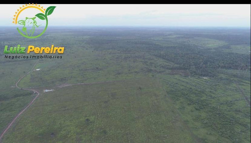 Imagem 4 de 15 de Fazenda À Venda Em Goianésia Do Pará - Pa - 3.485 Hectares (dupla Aptidão) - 1836