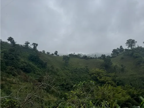 Lote En Venta En Vereda La Aurora Manizales | Venta Terreno