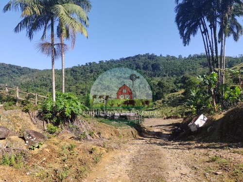 Imagem 27 de 28 de Fazenda À Venda No Vale Do Ribeira Sp Medindo 87,5 Alqueires Paulista Ref0978