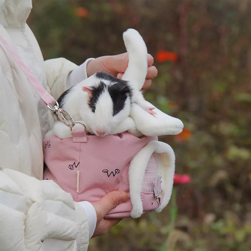 Mochila Para Mascotas Para Hámster, Conejo Y Ardilla.