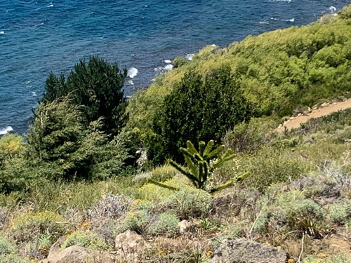 El Mejor Terreno De Huechulafquen, Con Costa De Lago, Vista Al Volcan Lanin