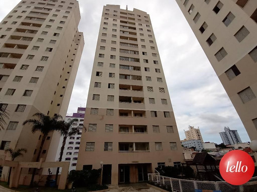 Imagem 16 de 16 de Apartamento - Ref: 234784