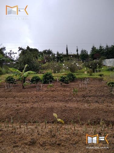 Imagen 11 de 14 de Mk Inmobiliaria Vende Terreno Con Posibilidad De Invernadero Y Chalet En Construcion/04244645060