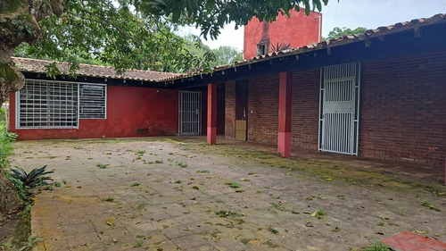 Bejuma Sabaneta Carabobo