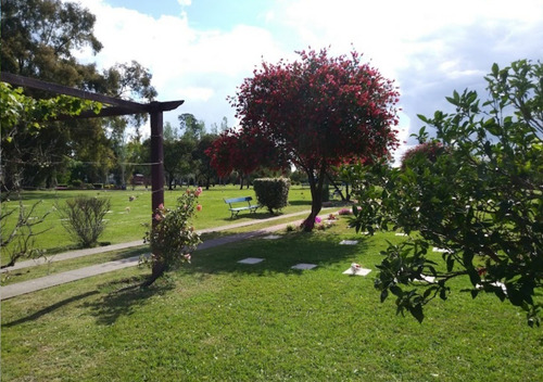 Imagen 2 de 2 de Parcela Parque Eterno