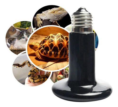 Lâmpada Cerâmica Aquecedor 110v Repteis Aves Passaros