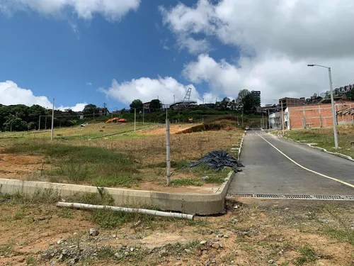 Lotes Residenciales Y Casas