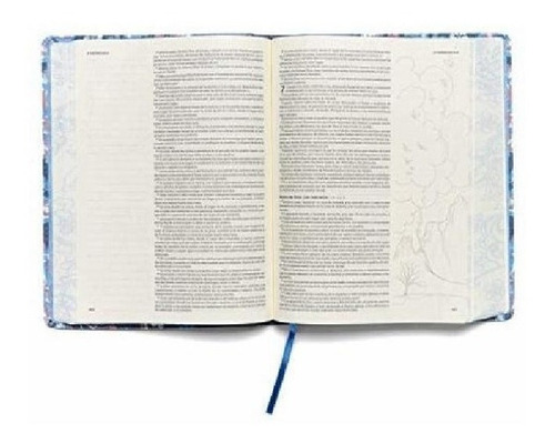Imagen 3 de 5 de Biblia Reina Valera 1960 De Apuntes Ilustrada Tela