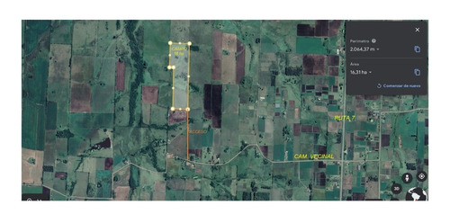 Imagen 7 de 7 de Dueño Vende - Campo 16 Has En Tala - Aguada - Montes - Luz