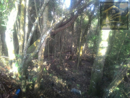 Imagem 4 de 12 de Terreno Com 488,75 M² Na Av. Dom Pedro Ll A Menos De 400 M Da Prefeitura De Quatro Barras - Te00019 - 32434532