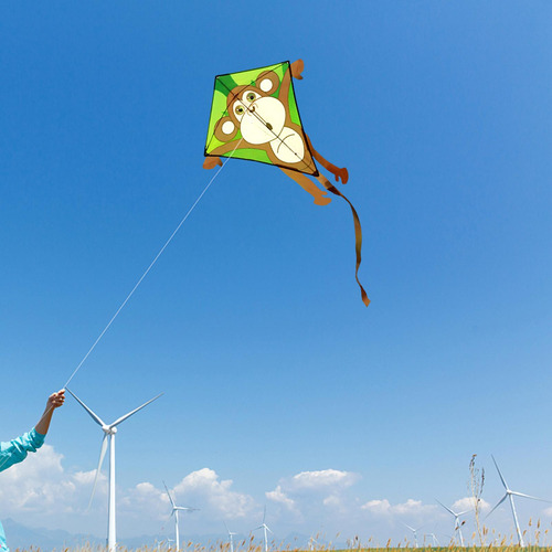Kite Para Niños Y Adultos Increíbles Cometas De Pájaros