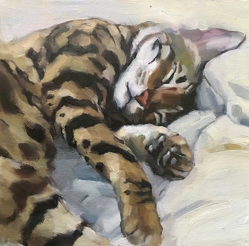 Gatos Lienzo Lienzografia 60x90 Cuadros Impresión Arte