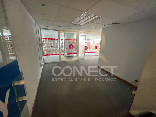 Oficina En Renta En Anzures 5c/2b/1e - Comedor - Cocineta - 245m2