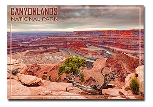 Imán Para Nevera Dead Horse Point Y River Canyonlands N