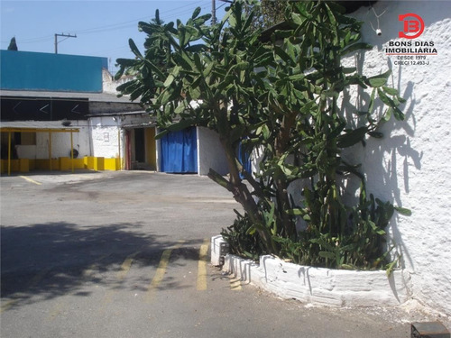 Imagem 8 de 8 de Terreno - Jardim Maringa - Ref: 2503 - V-2503