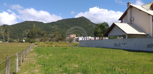 Imagem 3 de 15 de Terreno - Ribeirao Da Ilha - Ref: 2213 - V-2250