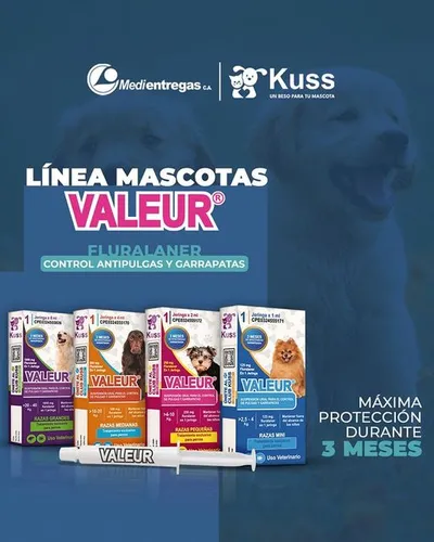 Valeur (fluralaner) 2,5 A 4kg