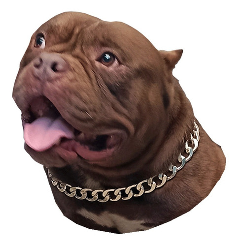 Cadena Collar Decorativo De Aluminio Para Perro Tallas S M L Color Dorado