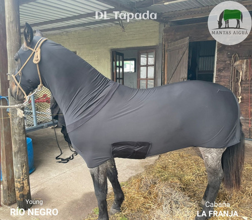 Imagen 4 de 6 de Manta Capa Para Caballo De Lycra Licra (desc. Venta Directa)