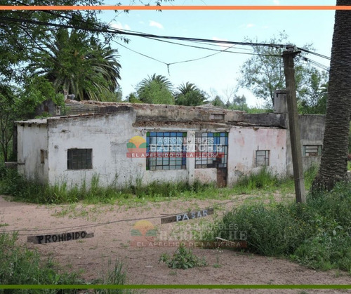 Imagen 15 de 25 de Chacra 3 Has En Melilla, Zona Uam, Cno Polvorin, Construcciones A Reciclar.