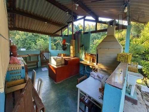 Imagem 4 de 15 de Cod - 5729 - Sitio De 13.400 M² C / 3 Lagos C/ Peixes E Nasc - 5729