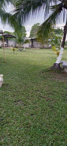 Se Vende Club Campestre En Guayabal Edo. Monagas Ve02-1076guay-lfaj