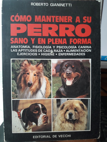 Como Mantener A Su Perro Sano Y En Plena Forma