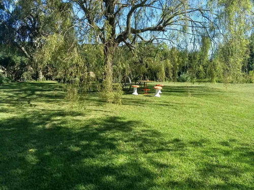 Imagen 9 de 30 de Chacra En Venta - Tandil